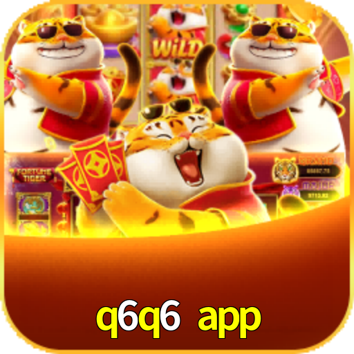 q6q6 app